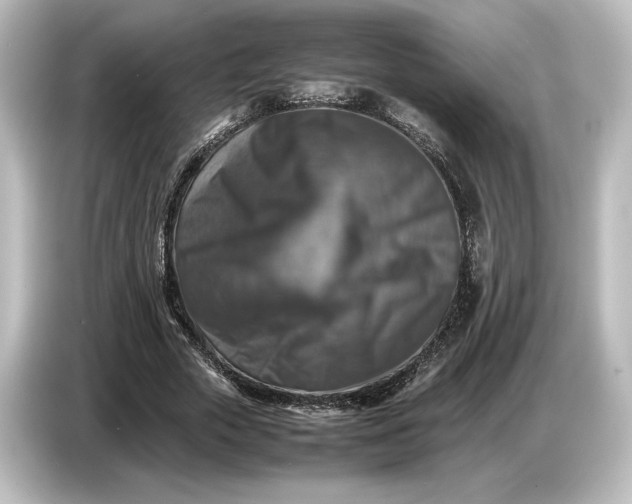 X0000087050729200705021156