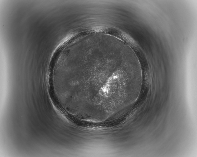 X0000087050730200705021156