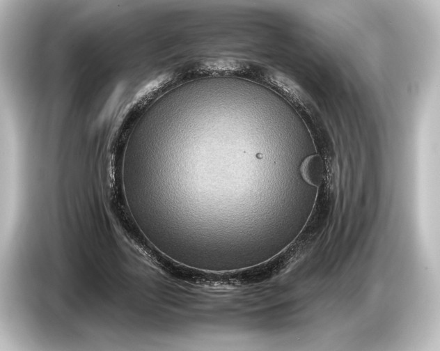 X0000087050731200705021156