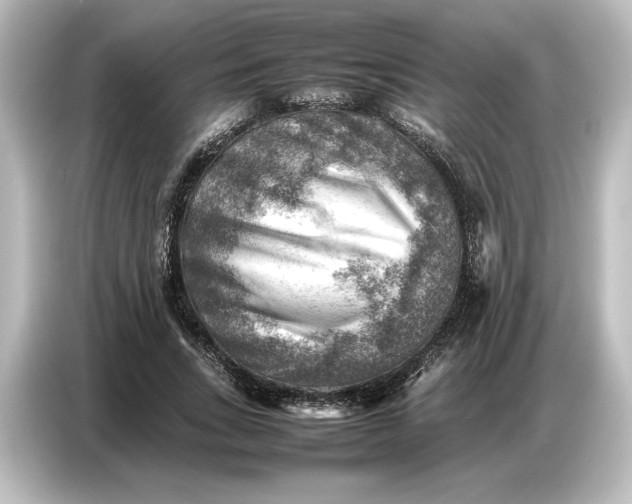 X0000087050735200705021156