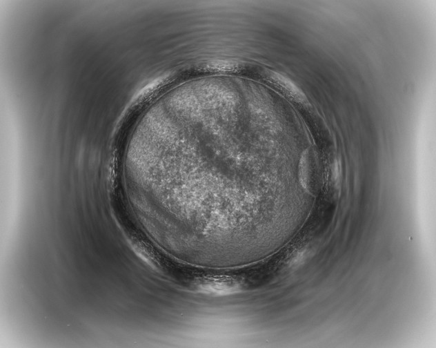 X0000087050736200705021156