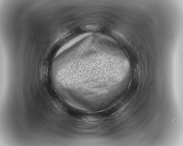 X0000087050739200705021156