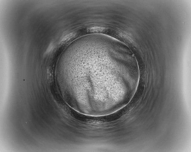 X0000087050743200705021156