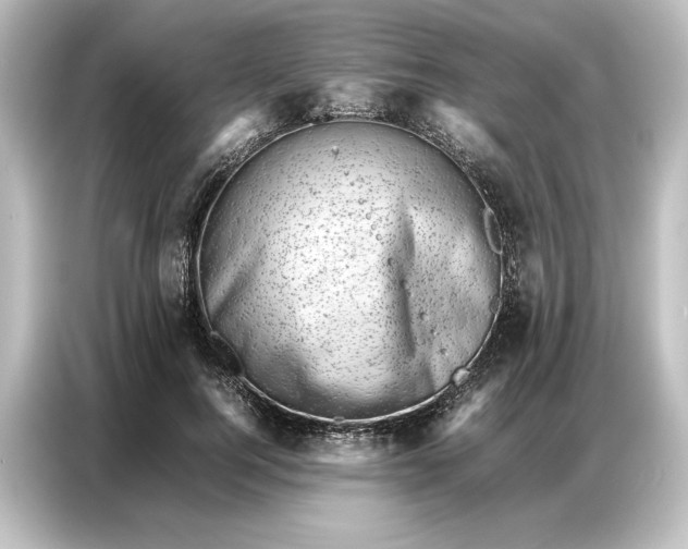 X0000087050744200705021156