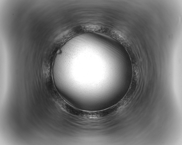 X0000087050745200705021156