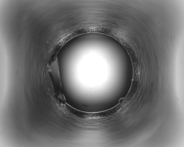 X0000087050746200705021156