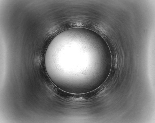 X0000087050747200705021156