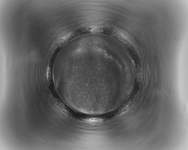 X0000087050748200705021156