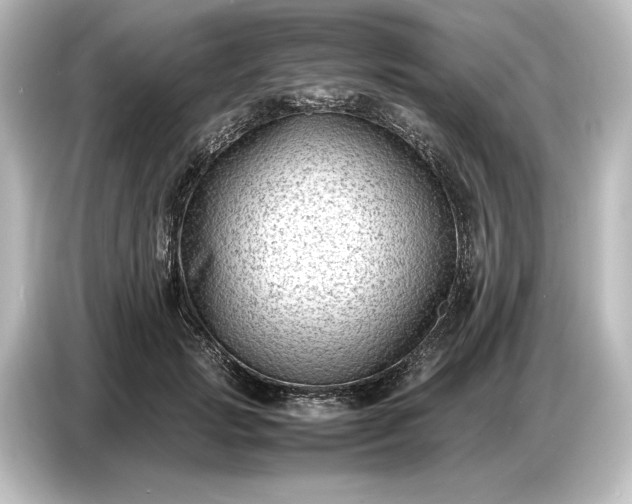 X0000087050749200705021156