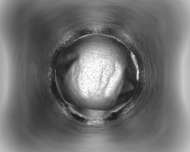 X0000087050750200705021156