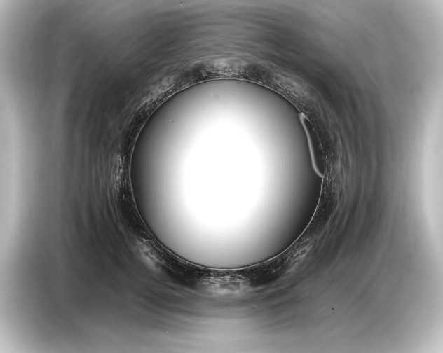 X0000087050752200705021156