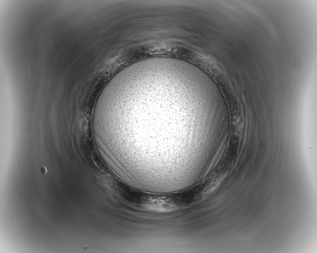 X0000087050753200705021156