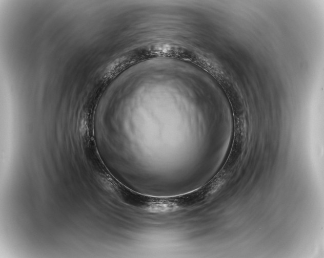 X0000087050754200705021156