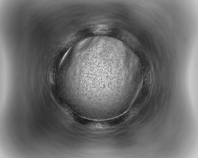 X0000087050755200705021156