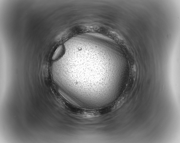 X0000087050757200705021156