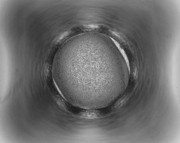 X0000087050758200705021156