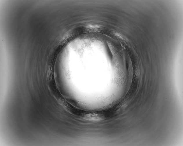 X0000087050759200705021156