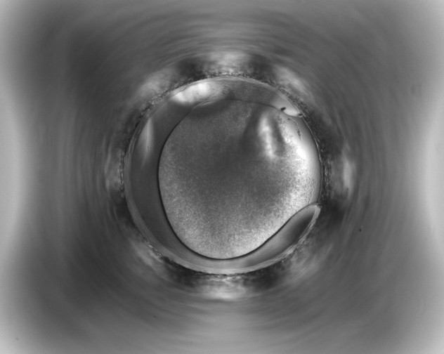 X0000087050760200705021156