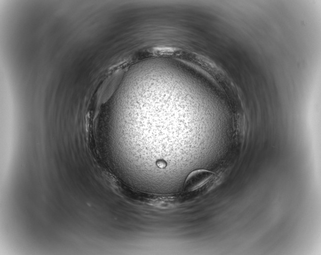 X0000087050761200705021156