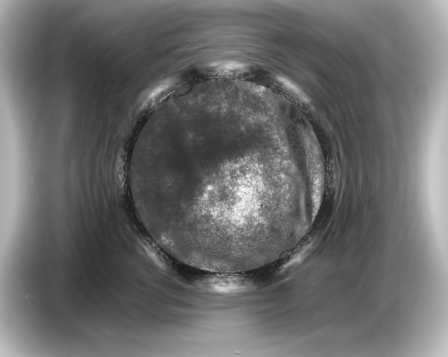 X0000087050762200705021156