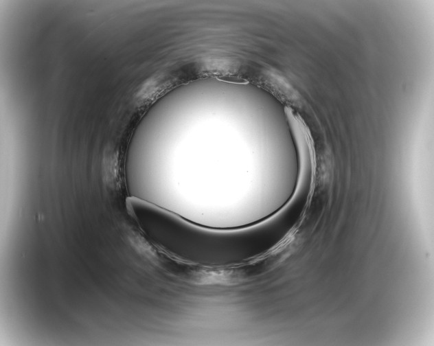 X0000087050764200705021156