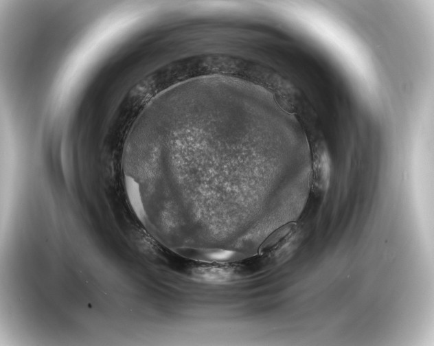 X0000087050765200705021156