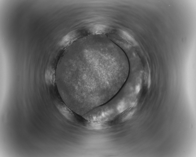 X0000087050766200705021156