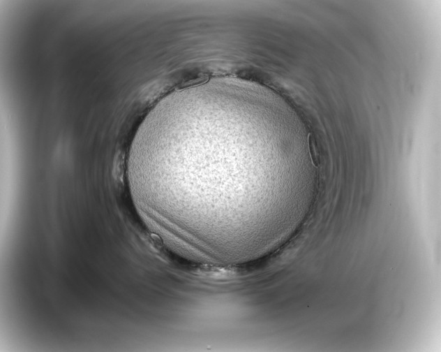 X0000087050768200705021156