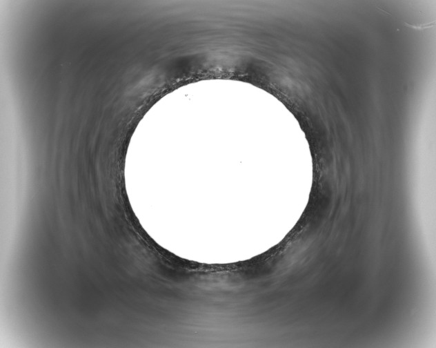 X0000087050769200705021156