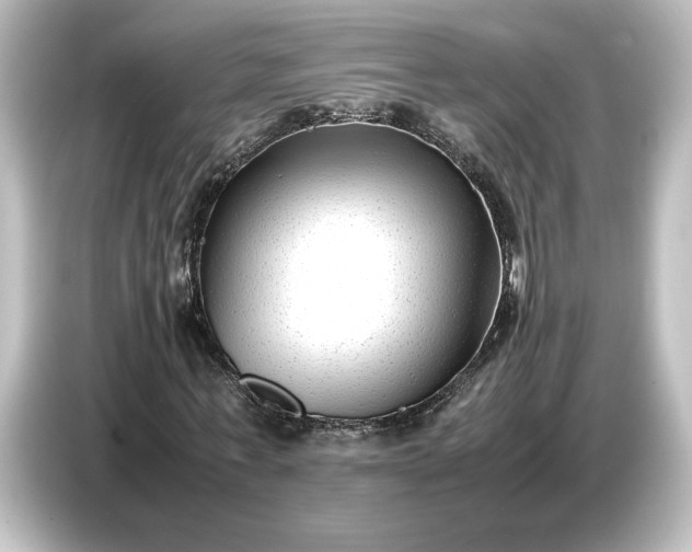 X0000087050771200705021156