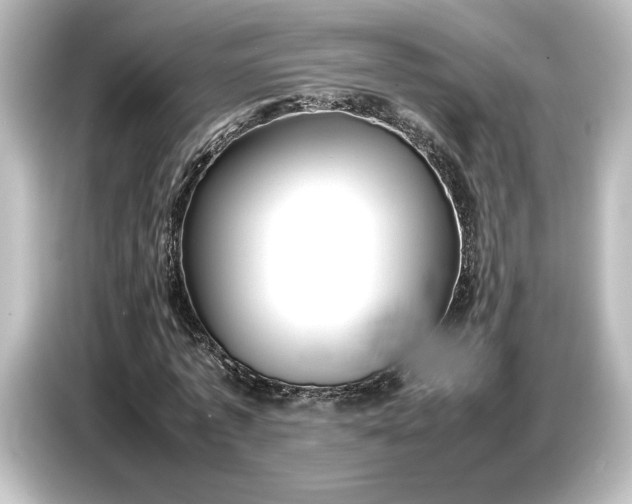 X0000087050773200705021156