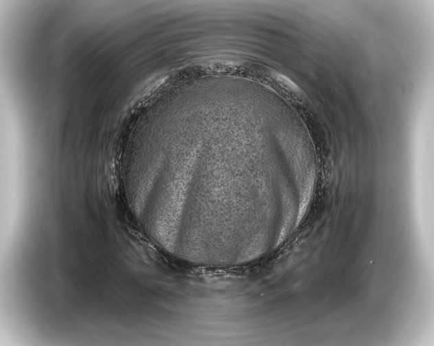 X0000087050774200705021156