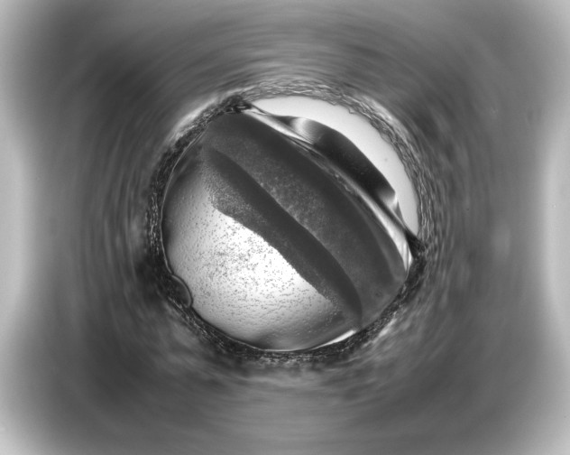 X0000087050775200705021156