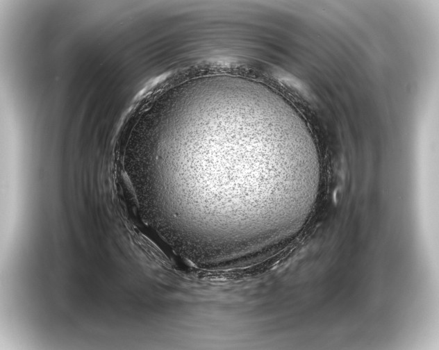 X0000087050776200705021156