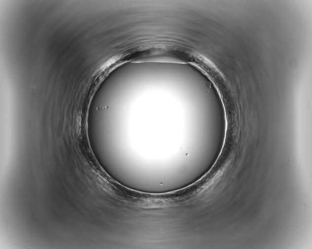 X0000087050777200705021156