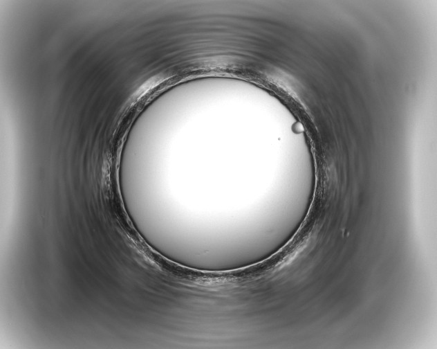 X0000087050778200705021156