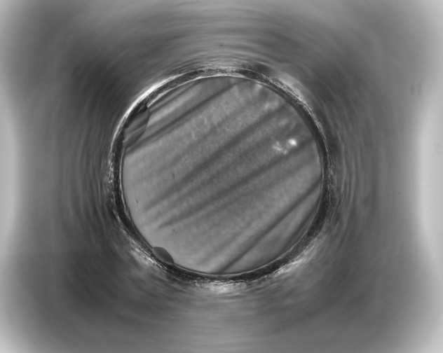 X0000087050779200705021156