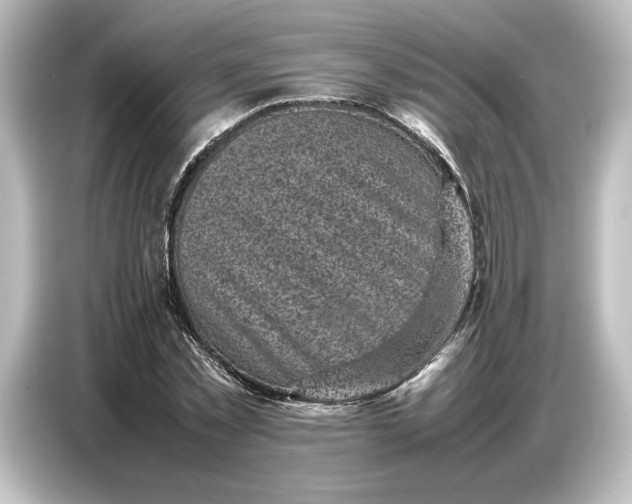 X0000087050781200705021156