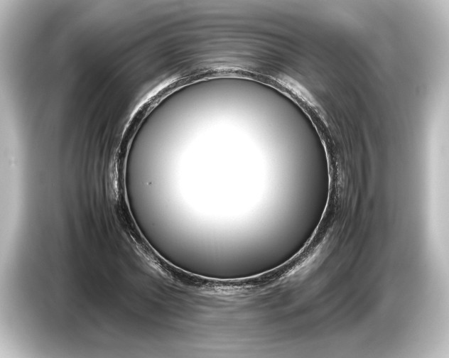 X0000087050782200705021155