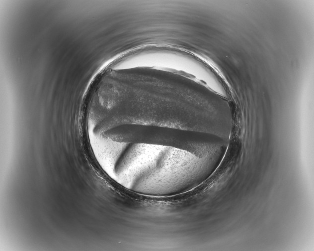 X0000087050783200705021155