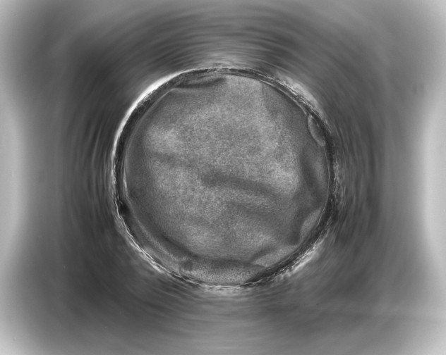 X0000087050784200705021155