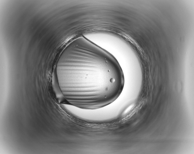 X0000087050785200705021155