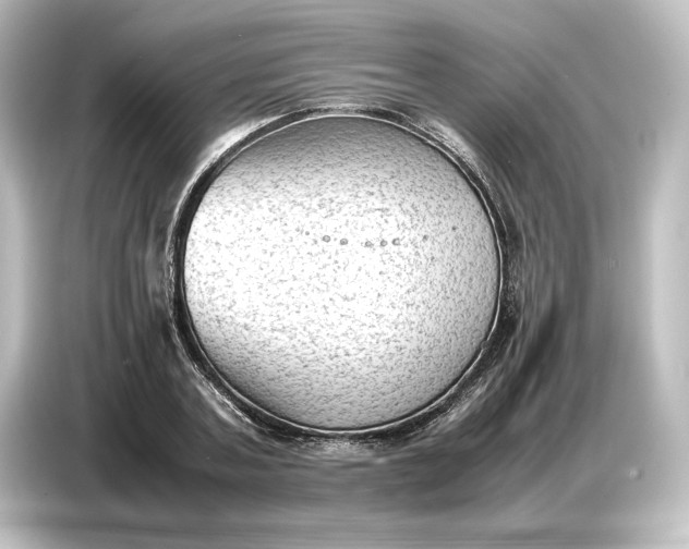 X0000087050787200705021155