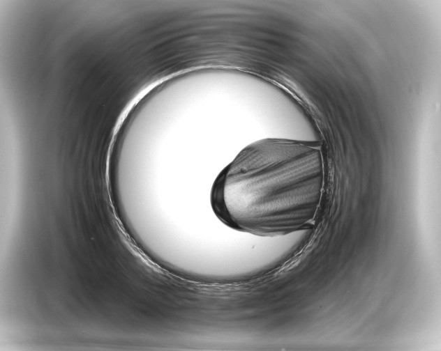 X0000087050788200705021155