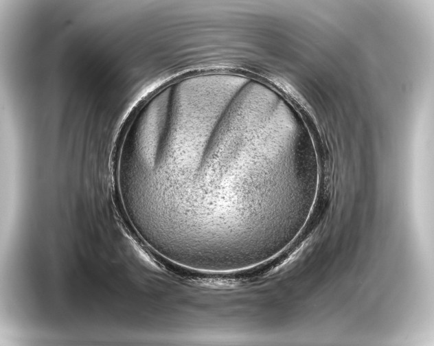 X0000087050789200705021155