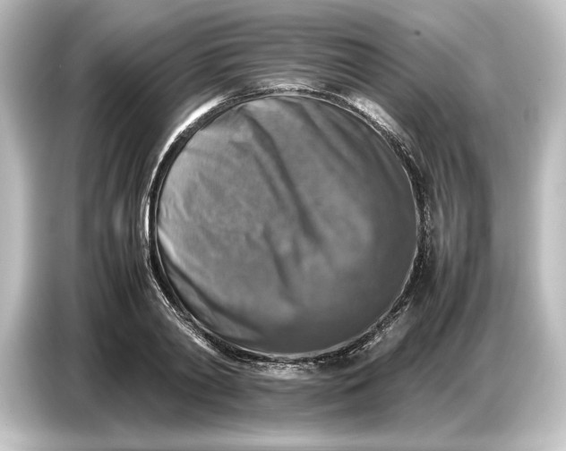 X0000087050790200705021155