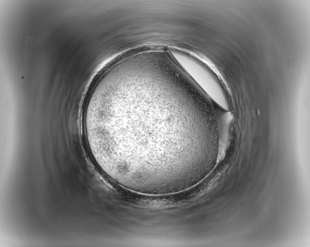 X0000087050791200705021155