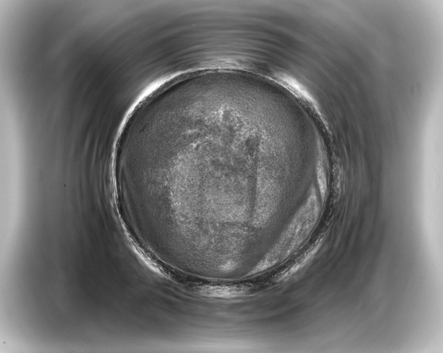 X0000087050792200705021155