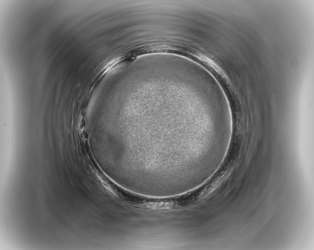 X0000087050793200705021155