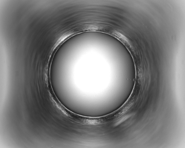 X0000087050794200705021155